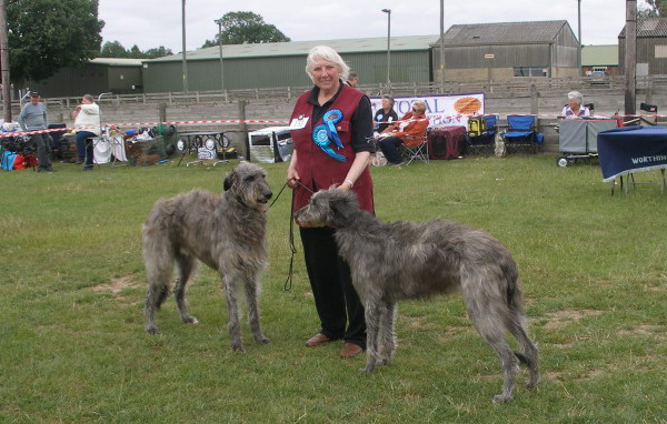 Worthing & District Canine Society 2010 Open Show